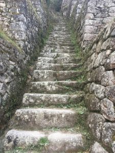 Image of steep stairs on the Inca Trail hike in Peru.