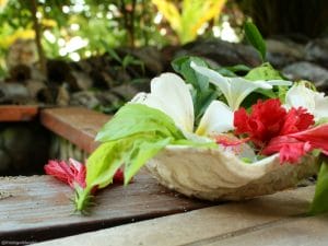 Image of fresh flowers at the footbath in front of my village at Blue Lagoon Beach Resort in Fiji.