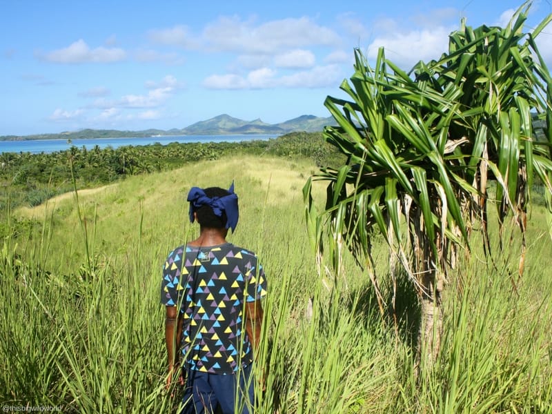 Image of my hiking guide as we walk through the tall grass and volcanic rock near the top of Nacula Island in the Yasawa Islands in Fiji.
