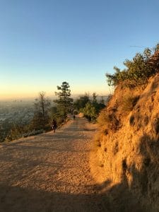 Image of empty hiking trails at Griffith Observatory at sunrise in LA.