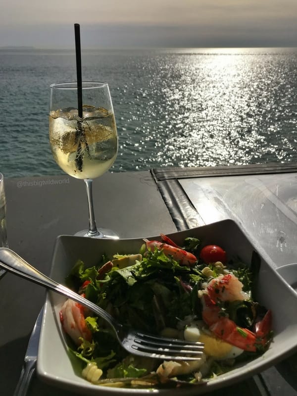Image of cocktail and salad looking out at the ocean from Moonshadows restaurant in Malibu California.