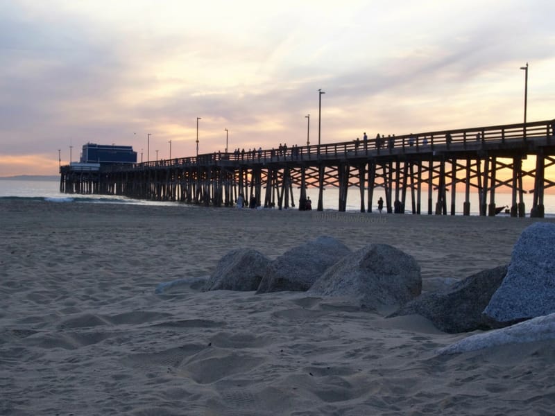 Image of a bright pink and blue sky as the sun set behind Newport Beach pier in California.