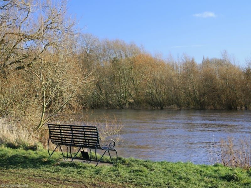 Image of a park bench along the River Dee in Chester England.