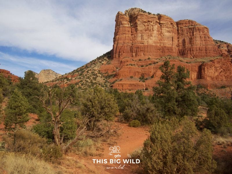 The beautiful red rocks of Sedona are a must-visit on any Los Angeles to Denver road trip!