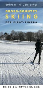Are you tired of being stuck indoors in the winter? So was I! I've decided to embrace the cold and try new outdoor winter sports, starting with cross-country skiing in Minnesota. #minnesota #minneapolis #crosscountryskiing #outdoorwintersports