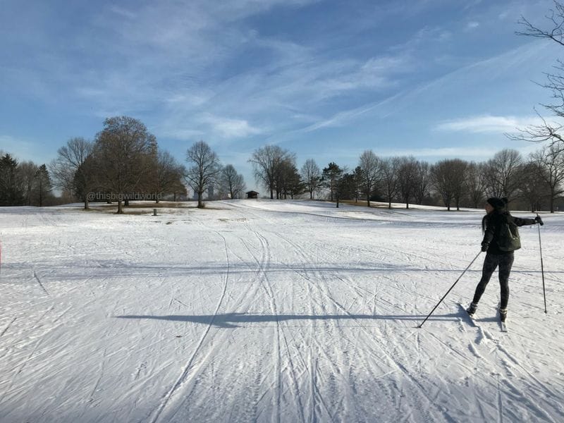 Cross-country skiing in Minneapolis, Minnesota. Enjoy the snowfall in Minnesota at Theodore Wirth Park.