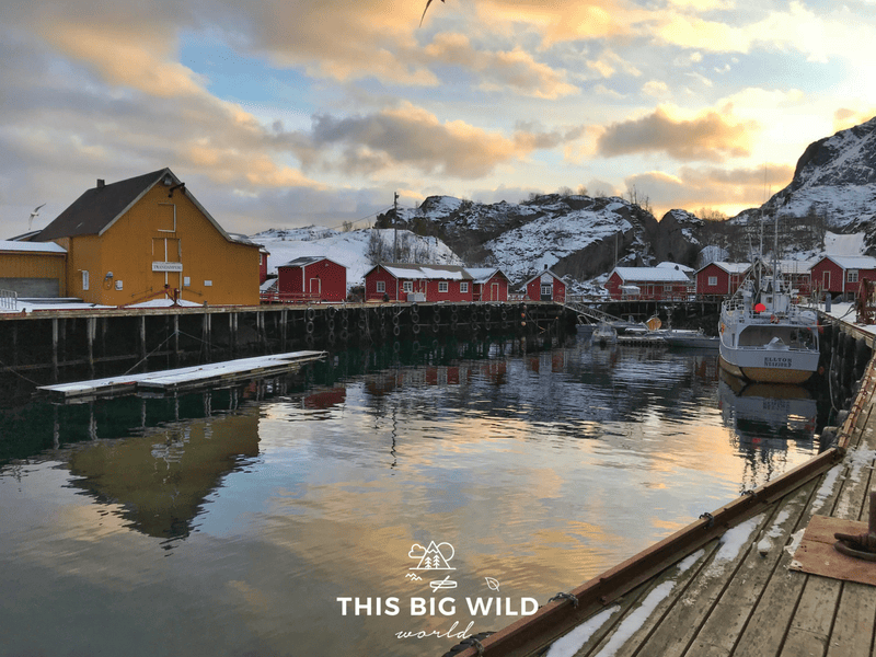 I fell in love with Nusfjord, a small fishing village in the Lofoten Islands Norway.