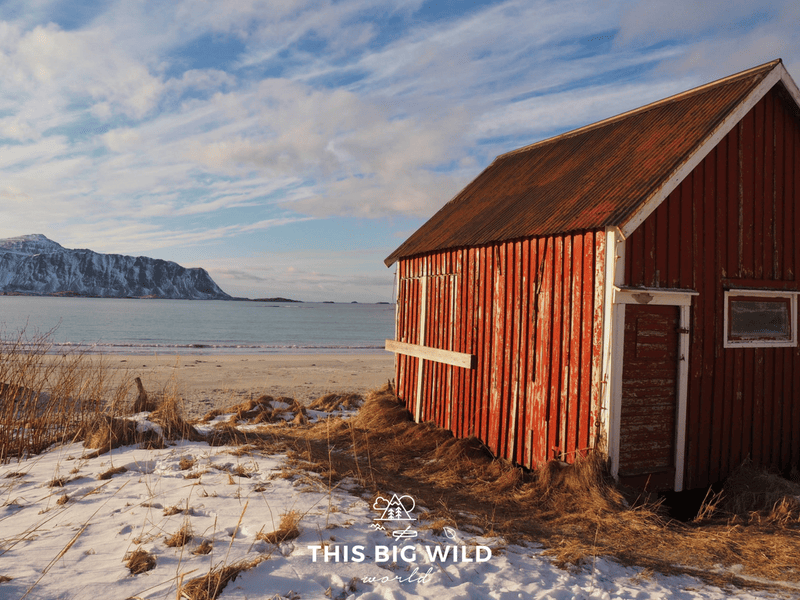 The iconic red cabin on the snow-covered Rambergstranda Beach in the Lofoten Islands Norway.