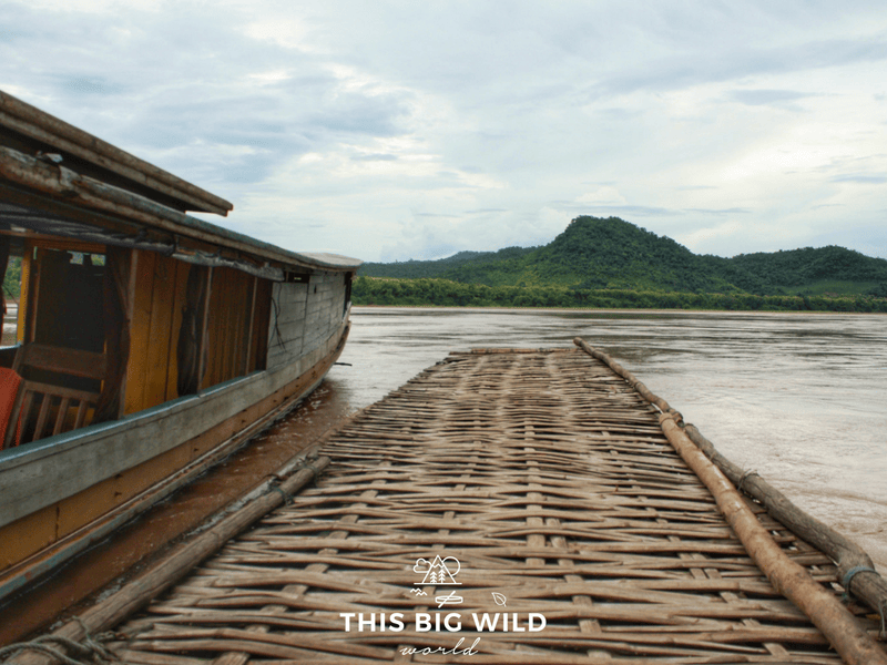 The woven floating boat dock at Pak Ou caves on the Mekong River near Luang Prabang in Laos.