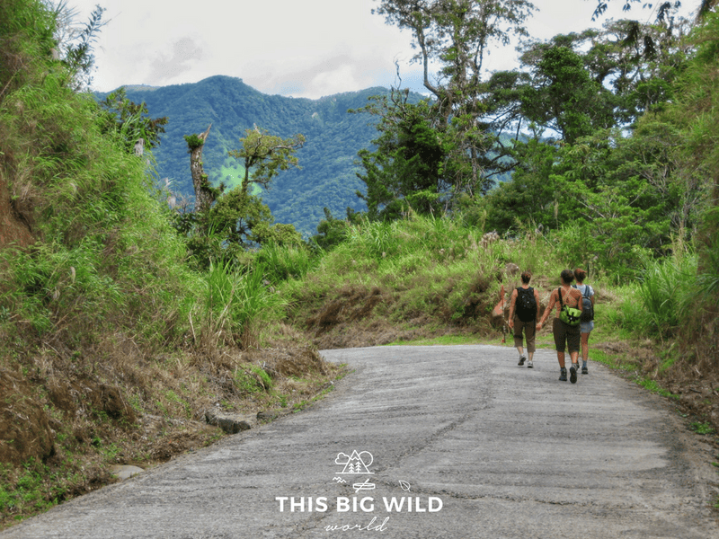 The long walk downhill on the road to access the trailhead near Monteverde Costa Rica.