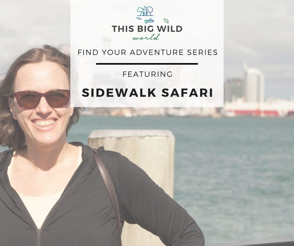 FIND YOUR ADVENTURE visual data 7