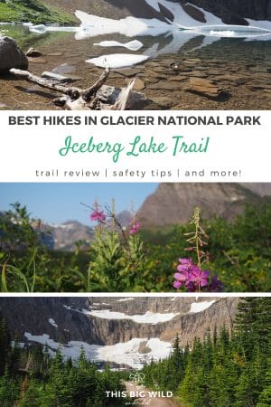Is the Iceberg Lake Trail one of the best hikes in Glacier National Park? Everything you need to know about hiking the Iceberg Lake Trail in this trail review including safety tips, photos and more!