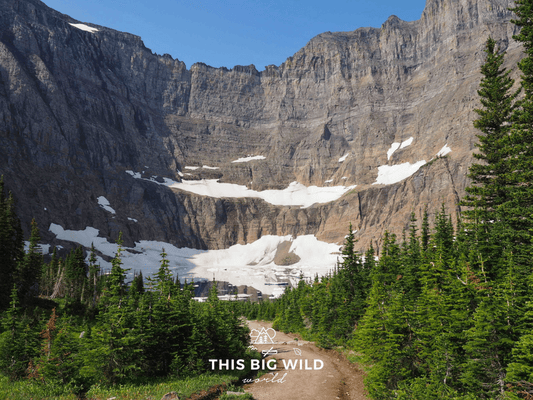 Is the Iceberg Lake Trail one of the best hikes in Glacier National Park?