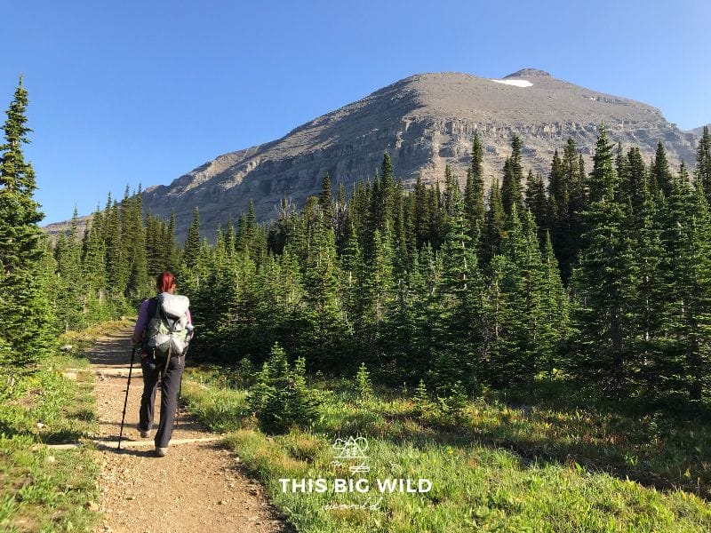 Hiking through the alpine meadows of Preston Park along the Siyeh Pass Trail in Glacier National Park.