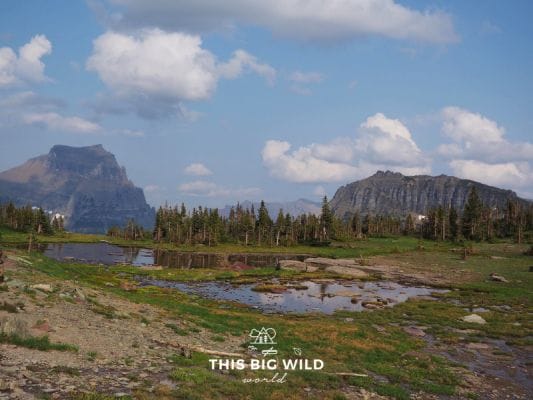 Find out what to pack for hiking in Glacier National Park!
