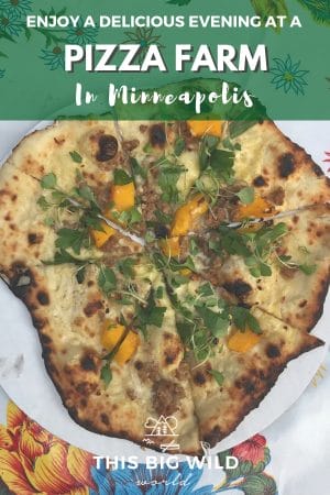 Enjoy delicious farm-to-table pizza and outdoor dining at a pizza farm in Minnesota - just one of the many fun places to eat in Minneapolis! Find out more about pizza farms, how to plan your visit to Two Pony Gardens, what to expect at a pizza farm, what to bring to a pizza farm, and more! #minneapolis #minnesota #pizzafarm