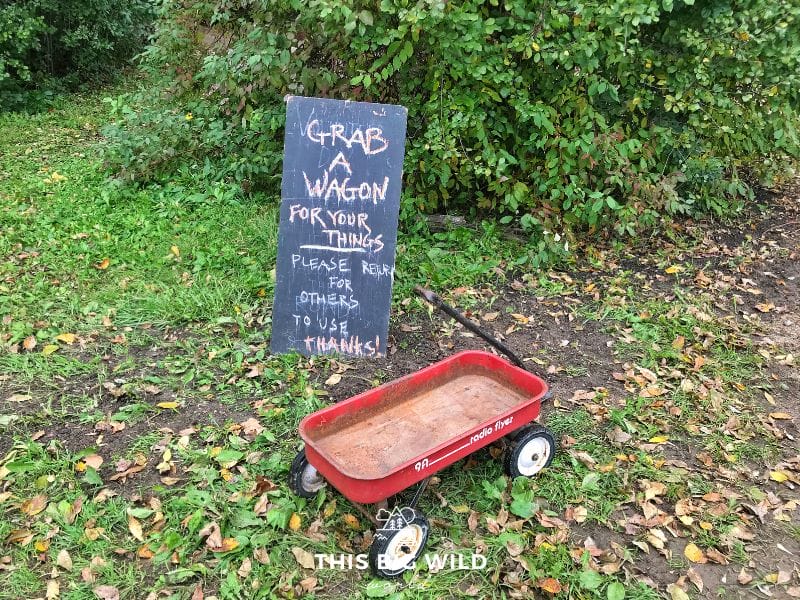 Use the vintage wagons in the parking lot at Two Pony Gardens and Pizza Farm to transport your gear to the dining area.