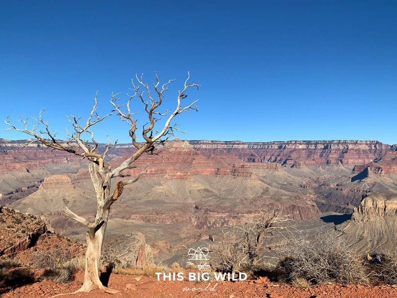 The South Kaibab Trail at the Grand Canyon South Rim allows you to hike down into the canyon.