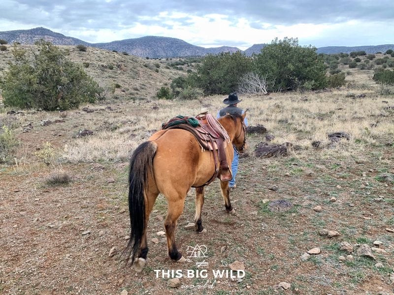 Experience the cowboy lifestyle on the only working ranch near Sedona that welcomes visitors.
