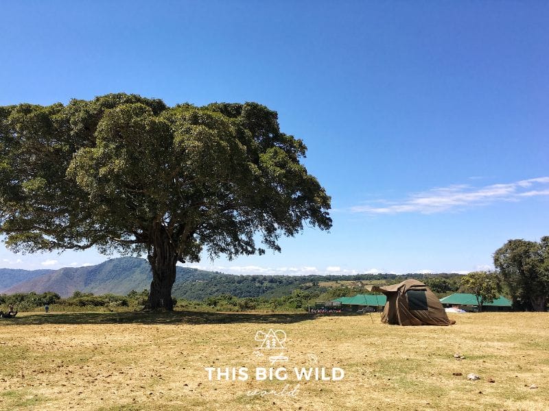 A budget camping safari includes basic tent camping. This campsite was right along the rim of the Ngorogoro Crater in Tanzania.