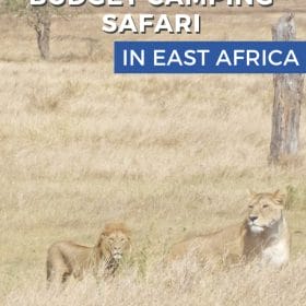 Have you always thought an African safari was out of your budget? Think again! Here's what to expect on a budget camping safari in East Africa, including the campsite, bathrooms, food, showers and more. #safari #tanzania #travel #africa