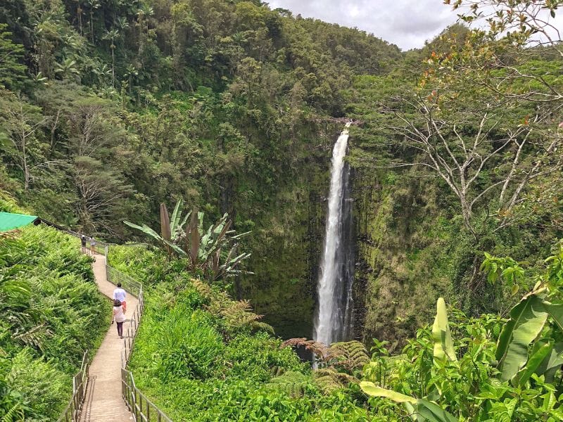 Akaka Falls State Park on the Big Island in Hawaii features a 442 foot tall waterfall surrounded by orchids and lush ferns. Photo by Sarah from ComopoliClan.