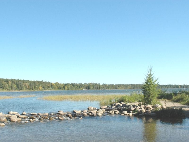 Itasca State Park in Minnesota is home to the headwaters of the Mississippi River.