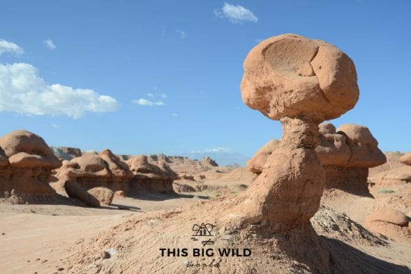 Goblin Valley State Park in Utah is just one of the most scenic state parks in the US. Here's the best in each state!