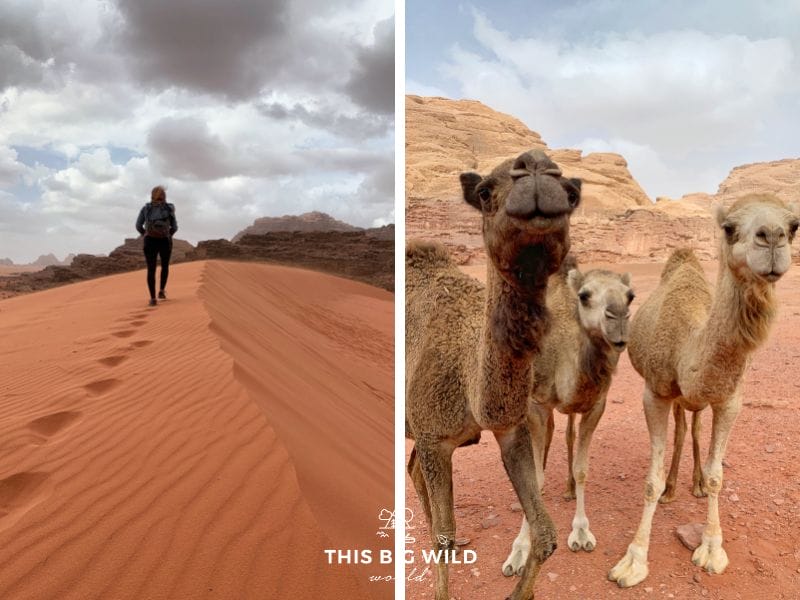 Wadi Rum in Jordan is incredibly diverse with sand dunes, canyons, rock formations, petroglyphs and an expansive desert.