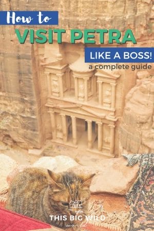 So you wanna visit Petra, but don't know where to start? This complete guide will show you how to visit Petra like a boss including boss tips on how to get to Petra, when to visit Petra, things to do in Petra (beyond the Treasury), answers to frequently asked questions about Petra and so much more! #jordan #petra #middleeast #travel