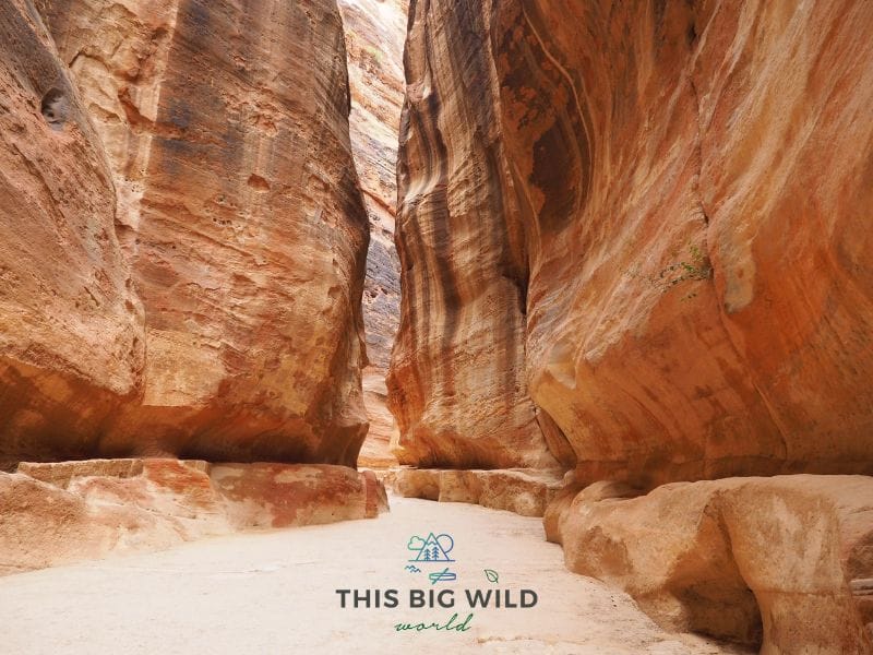 The Siq is a 1.2 kilometer canyon that you walk through when you first enter Petra. At the end, it opens up to reveal the famous Treasury!