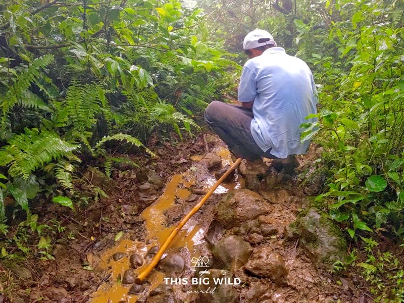 My guide, Dimas, cut a walking stick down to size for me to help navigate the muddy trail conditions on Volcan Maderas.