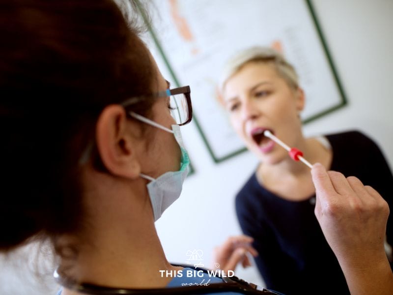 As direct-to-consumer DNA testing continues to grow in popularity, DNA tourism is emerging as a new form of travel.