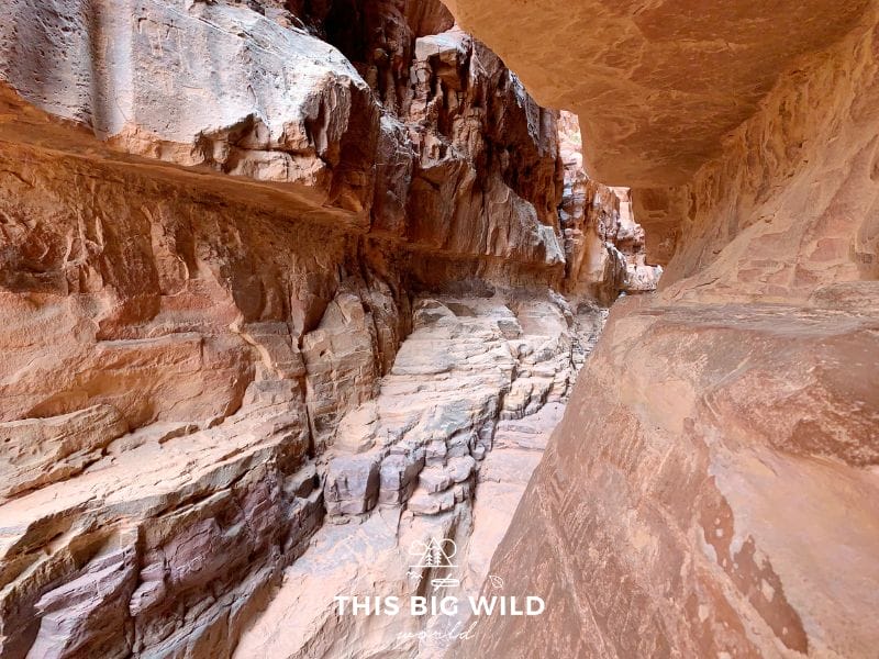Khazali Canyon in Wadi Rum is covered in ancient petroglyphs that you can see up close.