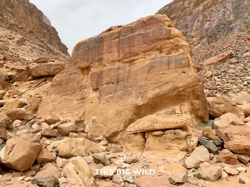 This large rock at Lawrence Spring in Wadi Rum has petroglyphs on it from thousands of years ago.