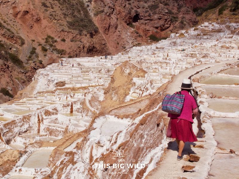 There are nearly 4000 plots of salt in Salineras de Maras in the Sacred Valley near Cusco.