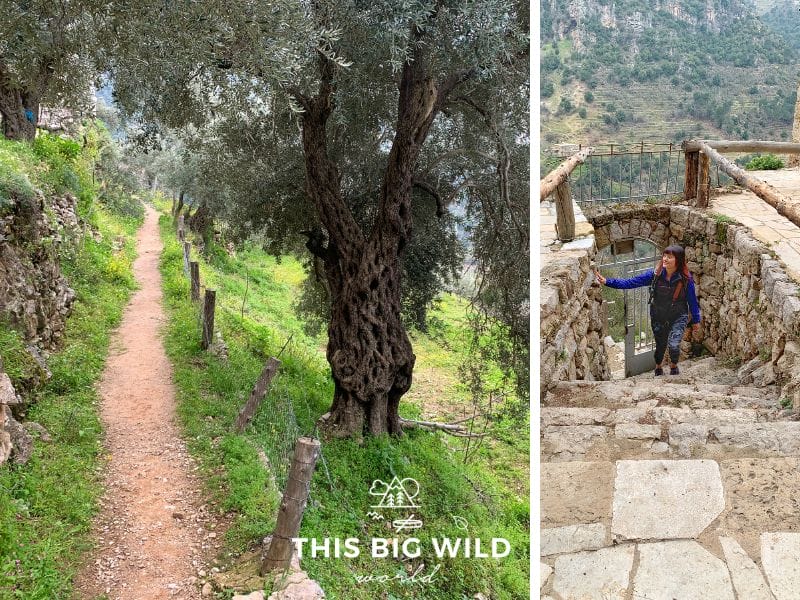 Hike between ancient monasteries and churches on a daytrip to Qadisha Valley from Beirut.