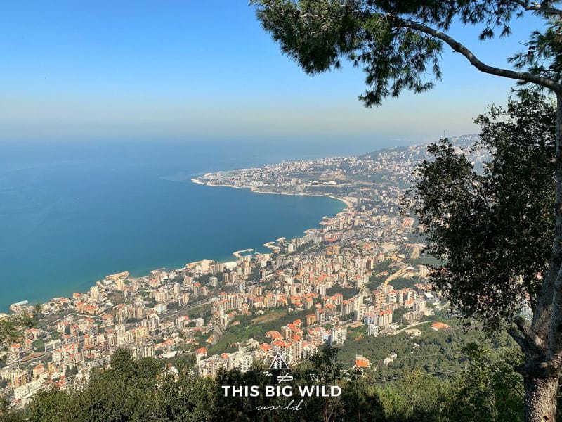 Enjoy the stunning Mediterranean view from Harissa on a daytrip from Beirut.
