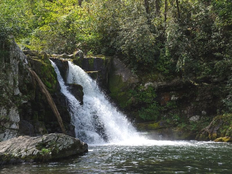 With more than 50 inches of rain per year, Abrams Falls is one of the most dangerous hikes in the US due to drowning and slips/ falls on wet rocks.