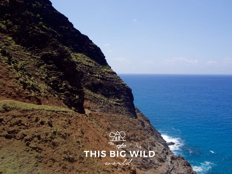 Crawler's Ledge is one of the most dangerous sections of the Kalalau Trail on Kauai's Na Pali Coast. The sheer dropoff into the ocean is challenging even for experienced hikers.