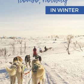 Text: Epic Adventure Guide Tromso Norway in Winter Image: White dogs with red boots are pulling a sled through the snow with several other sleds on the trail in front of them.