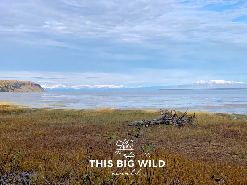 Enjoy the mountain views while biking along the Anchorage Coastal Trail. Here you can see Mount McKinley and other snowcapped mountains across the Cook Inlet from the bike path.
