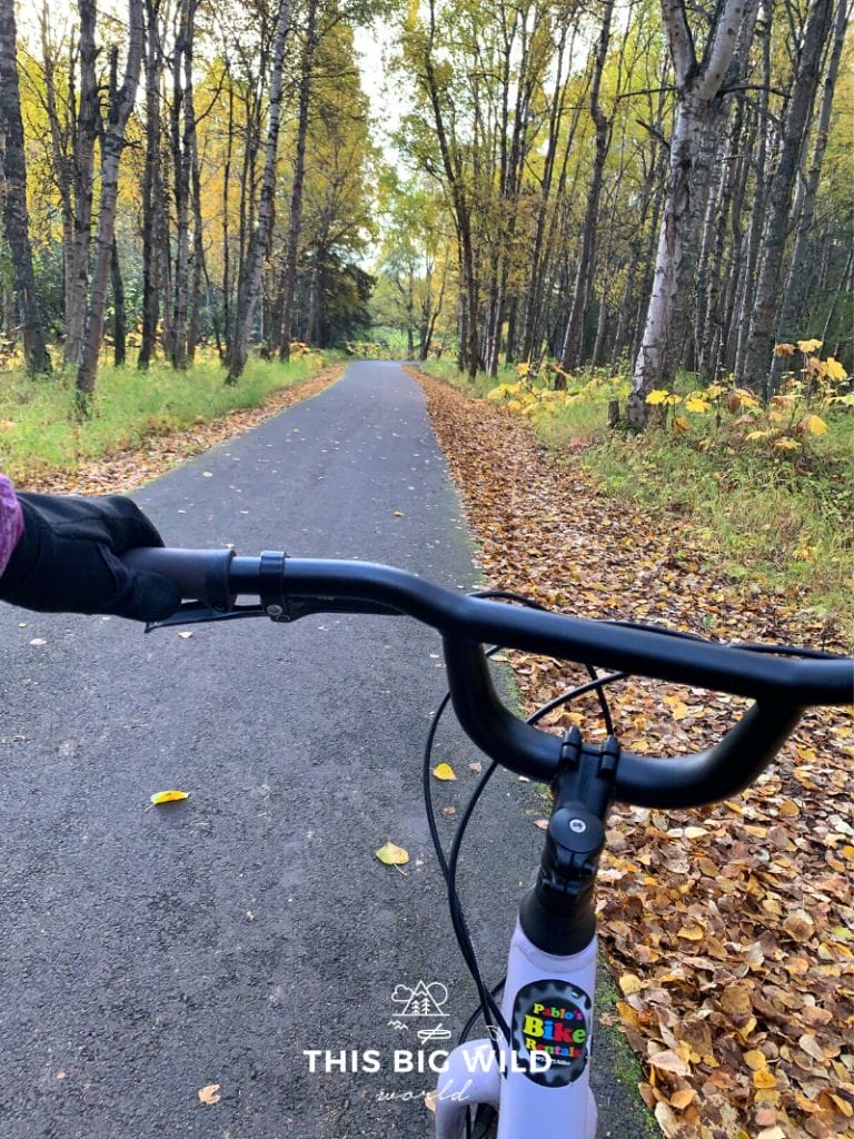View over the bicycle handlebars in Point Woronzof along the Anchorage Coastal Trail. The fall colors have pops of green, orange and yellow!