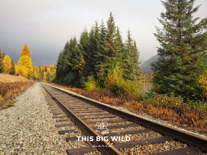The Alaska Railroad takes passengers from Anchorage through the countryside to destinations like Denali, Seward and more!