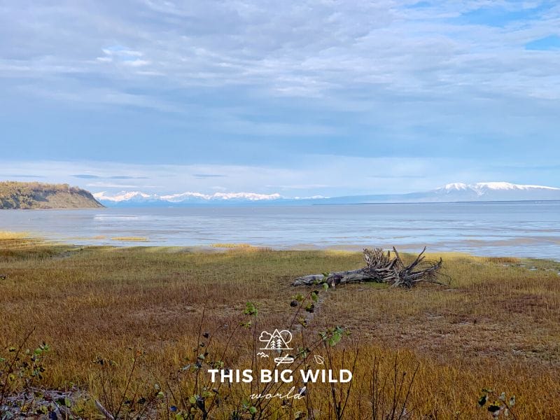 Enjoy wraparound views of snowcapped mountains while biking the Tony Knowles Coastal Trail in Anchorage, along the Cook Inlet.