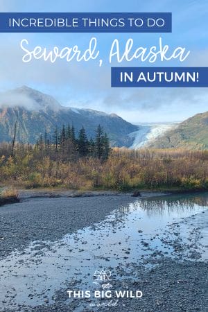 Visitors flock to the charming coastal town of Seward Alaska in the summer, but what's it like in the fall? It's still got all the charm and loads of adventure but without all the crowds! Here are the best things to do in Seward Alaska in September, including where to stay in Seward and where to eat in Seward. #alaska #seward #glacier #hiking #usatravel