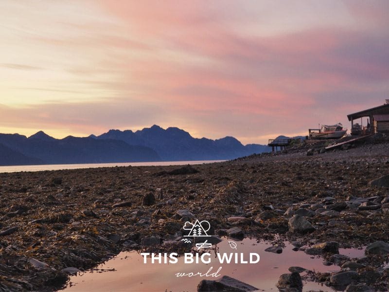 Bright pink and purple sky at sunrise and low tide with mountains in the distance in Seward Alaska.