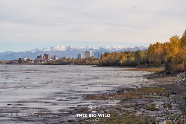 View of Anchorage skyline from the Tony Knowles Coastal Trail in Fall