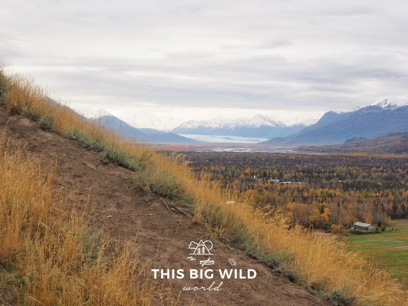 Snowcapped mountains, a distant lake and a horizon dotted with bright yellow trees make for an incredible view from the Bodenburg Butte Trail near Palmer Alaska.