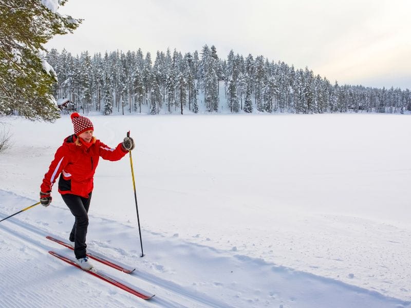 A woman cross-country skis in fresh white powdery snow with a snow covered treeline in the background.